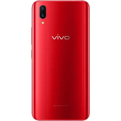 Vivo X21